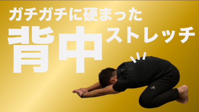 １分 広背筋ストレッチ２種目 背中 肩ストレッチ B Lead 大阪 出張パーソナルトレーニング オンラインliveパーソナルトレーニング