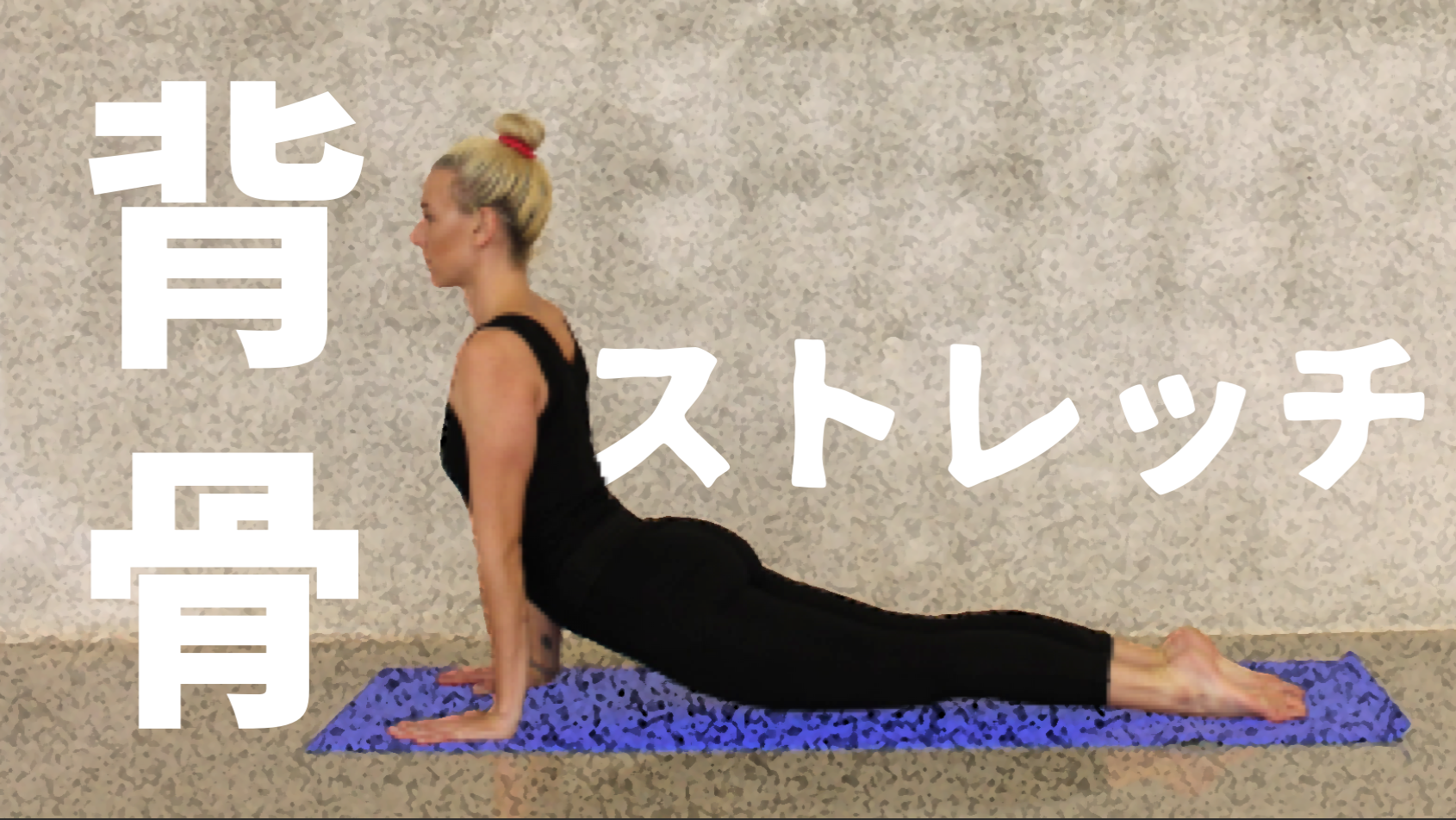 初心者 背骨が硬い人が実践すべきストレッチ 動画あり B Lead 大阪 出張パーソナルトレーニング オンラインliveパーソナルトレーニング