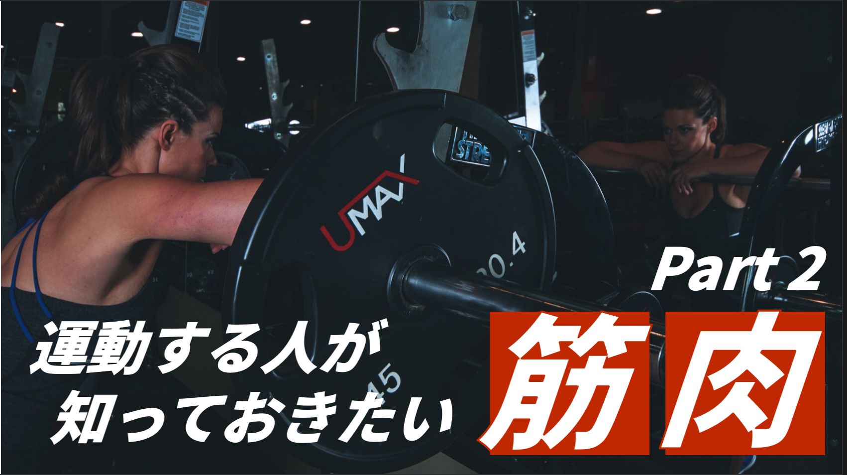 トレーニングの基礎知識 運動する人が知っておきたい１４の筋肉 後編 B Lead 大阪 出張パーソナルトレーニング オンラインliveパーソナル トレーニング