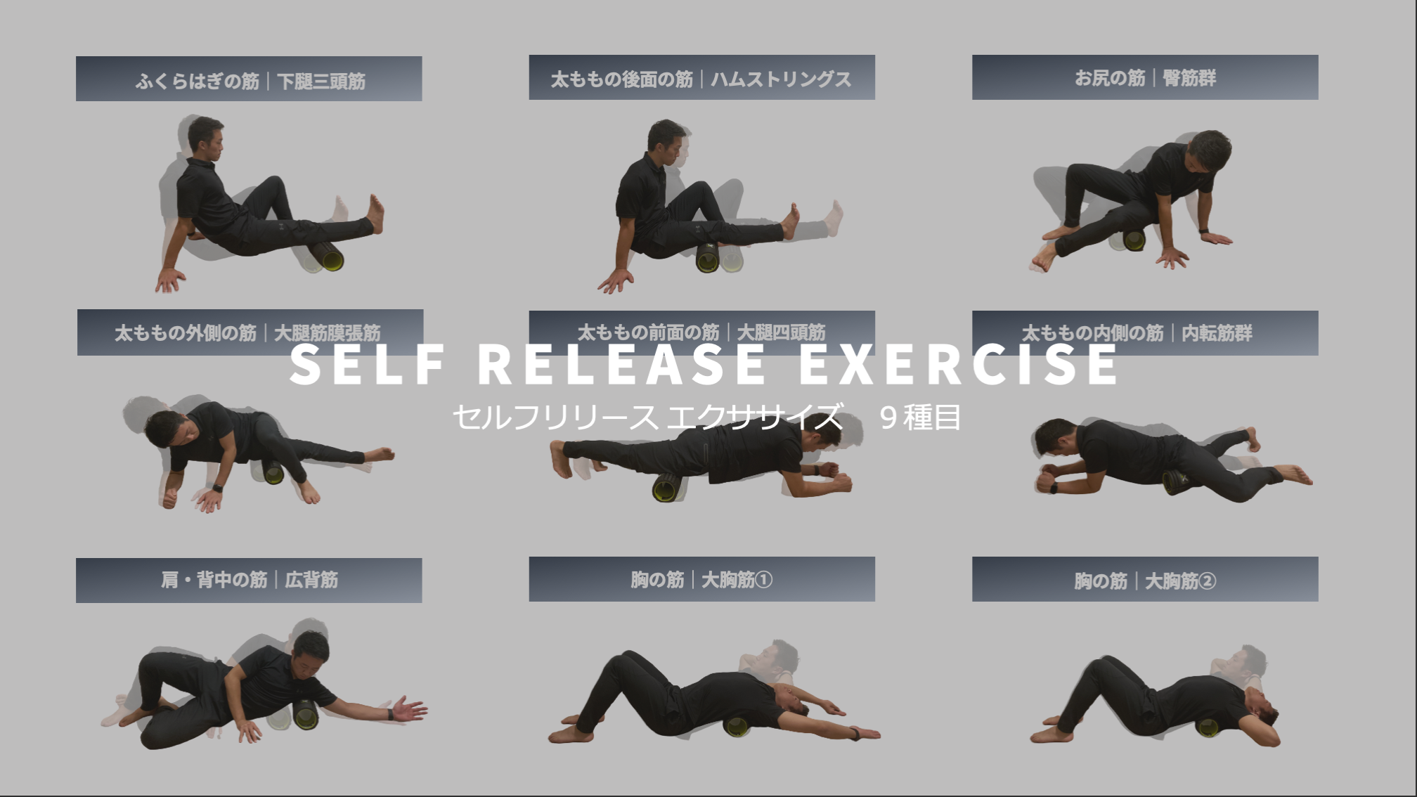 保存版 セルフリリースエクササイズ９種類 Self Release Exercise 正しい使用方法 B Lead 大阪 出張パーソナルトレーニング オンラインliveパーソナルトレーニング