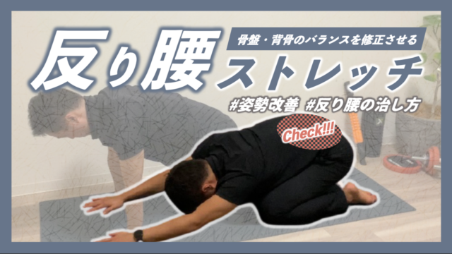 骨盤と背骨の バランス を整えて 反り腰 を改善 ストレッチ 編 B Lead 大阪 出張パーソナルトレーニング オンラインliveパーソナルトレーニング