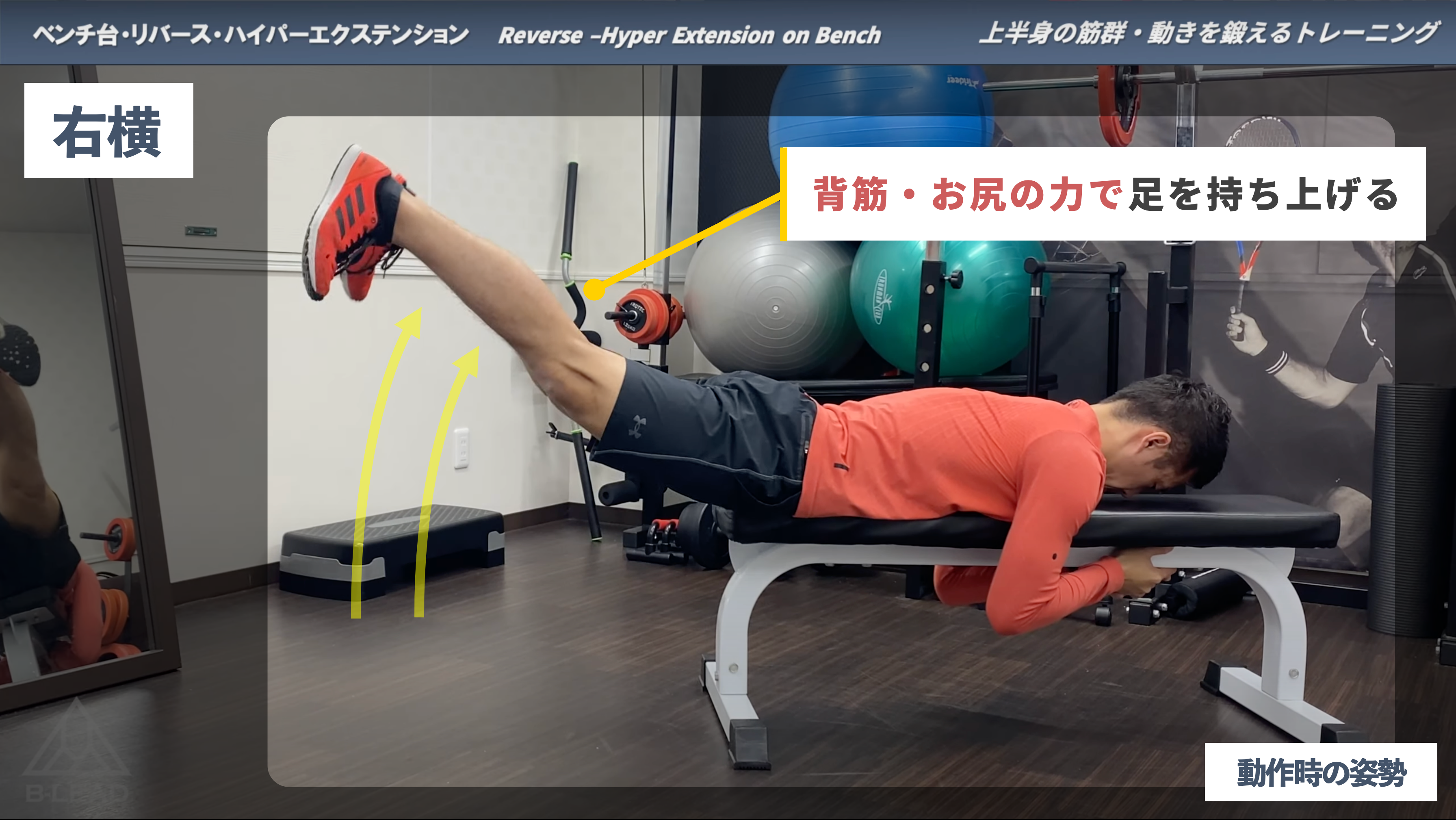 TRAINING MOVIE】#037 ベンチ台・リバース・ハイパーエクステンション 