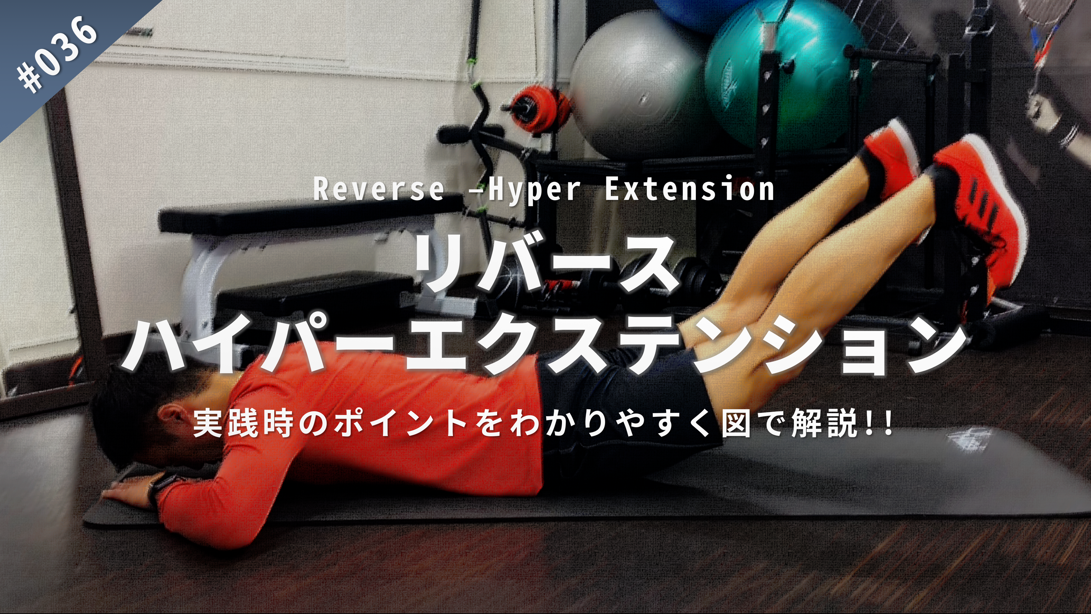 TRAINING MOVIE】#036 リバース・ハイパーエクステンション｜Reverse 