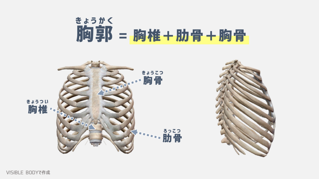 胸郭統合アプローチ その他